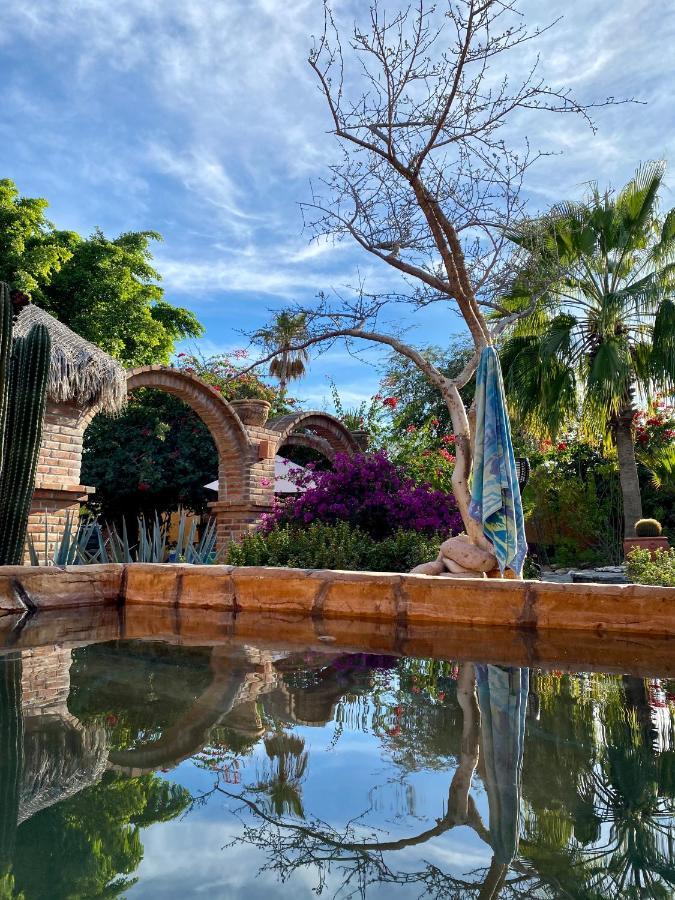 Casa Xochitl Bed & Breakfast El Centenario Exterior photo