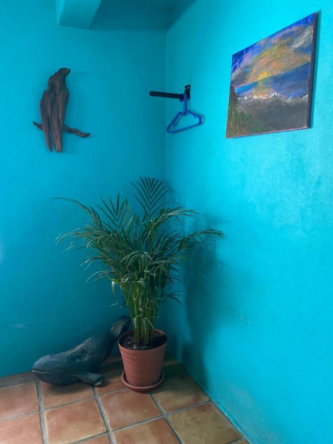 Casa Xochitl Bed & Breakfast El Centenario Exterior photo